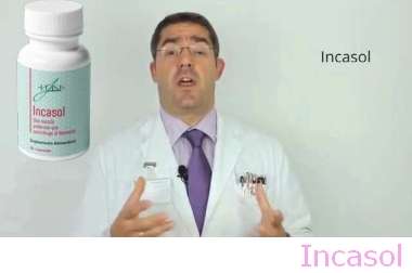 ¿Qué Quiere Decir Incasol?